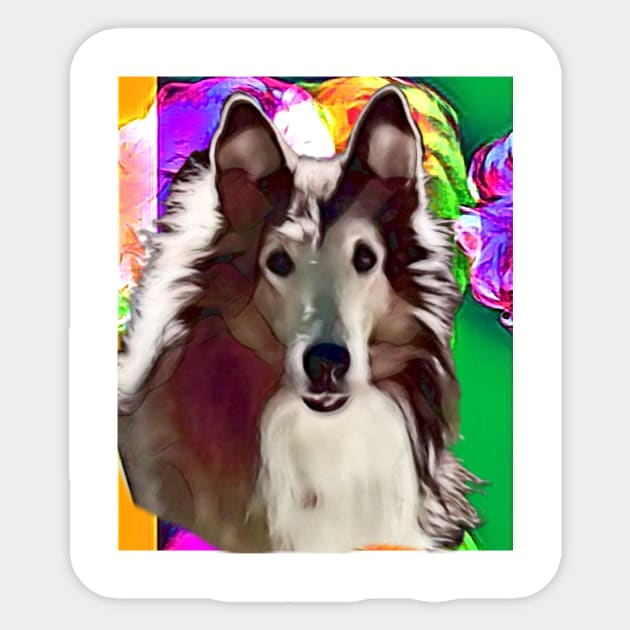 Jay-Boy, the wonderboy collie Sticker by PersianFMts